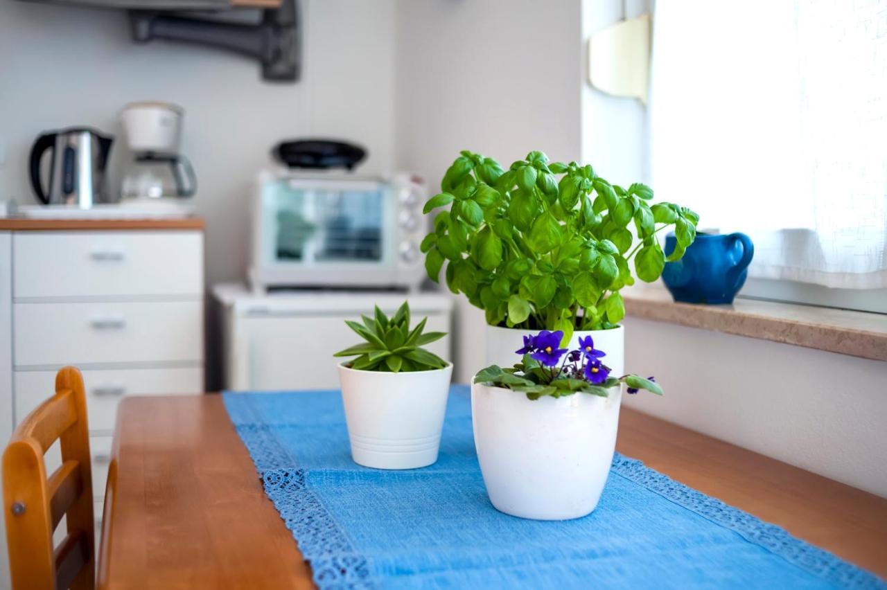 Banko Apartments Rovinj Extérieur photo